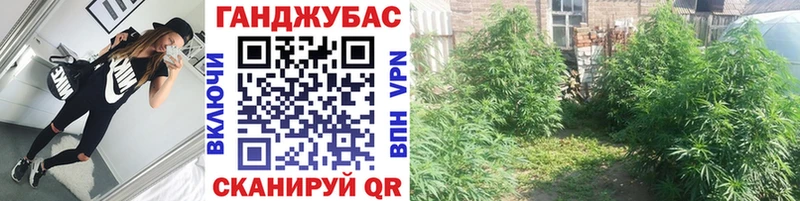 Шишки марихуана Ganja Купить закладки Белореченск